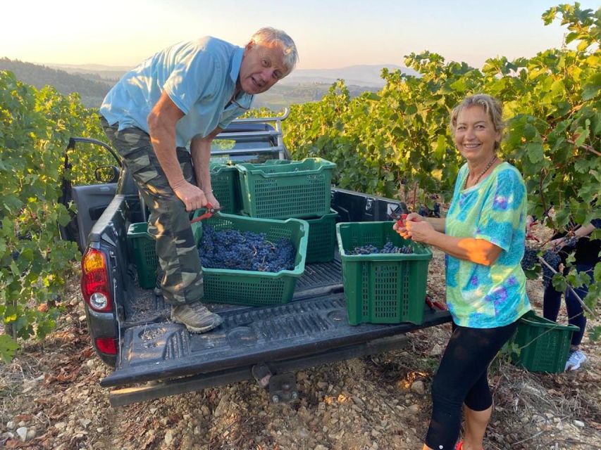 Florence: Private Siena, San Gimignano and Chianti Tour - The Chianti Wine Road: Vineyards, Castles, and a Village Stop