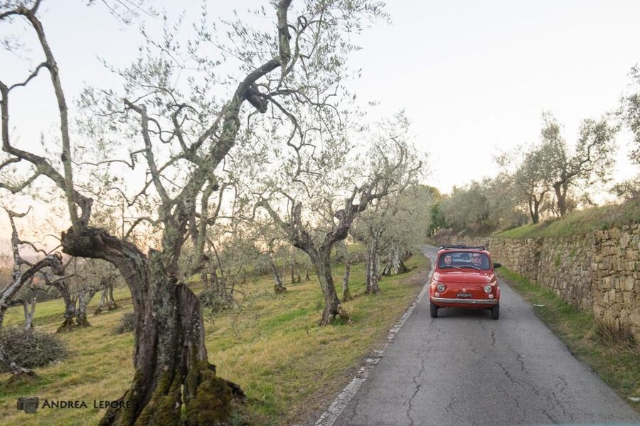 Florence: Private Vintage Fiat500 Countryside & Winery Lunch - Who should book this Fiat 500 countryside tour