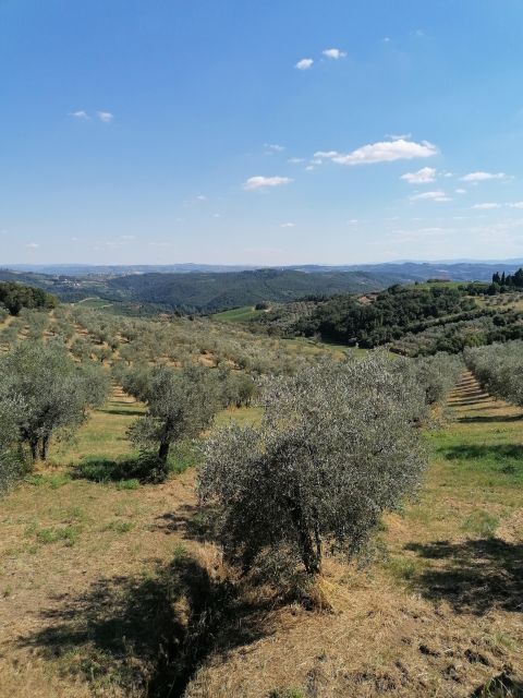 Florence: Private Vintage Fiat500 Countryside & Winery Lunch - The return drive: same hills, new light, more photos