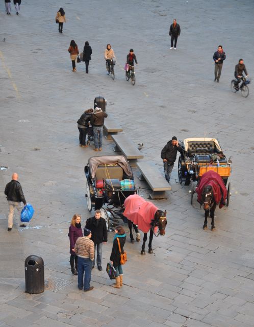 Florence: Private Walking Tour with a Local Guide - Piazza Pitti and the Medici Shadow: Seeing Power in Stone