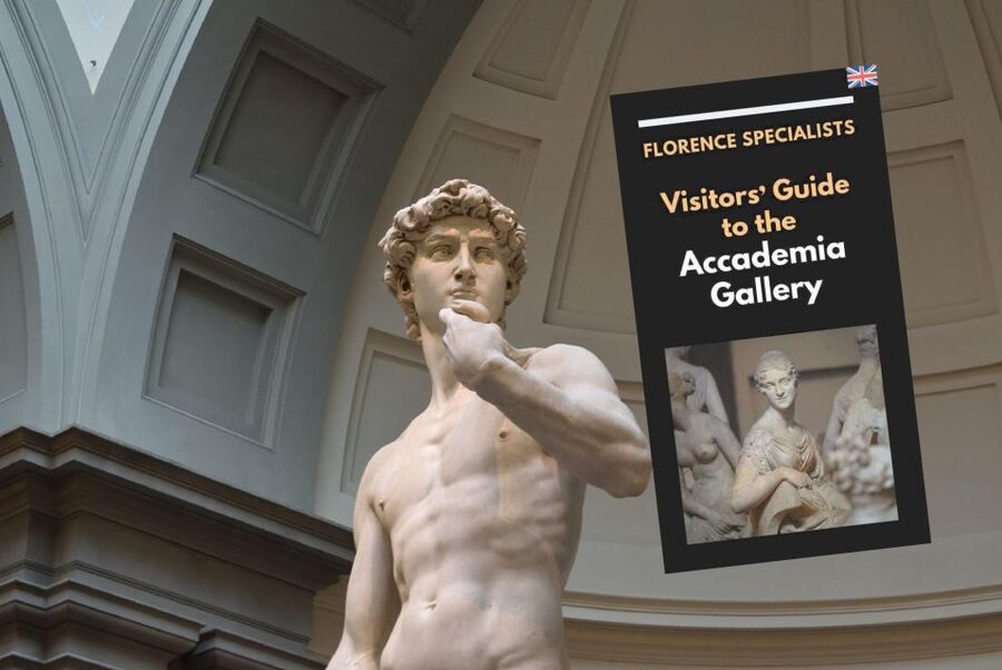 Florence: Timed Entry Ticket to Michelangelo's David & eBook - Beyond David: Unfinished Sculptures, the Gipsoteca, and Medici Music