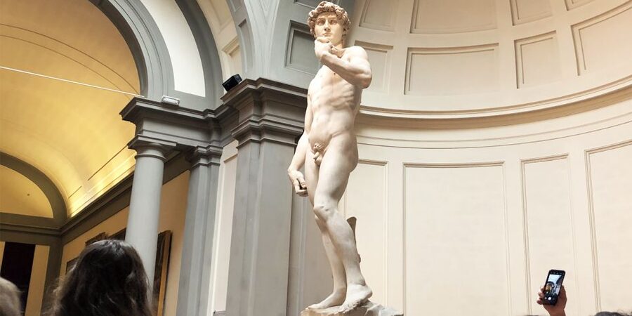 Florence: Timed Entry Ticket to Michelangelo's David & eBook - Inside the Main Hall: Michelangelo’s David in Real Life