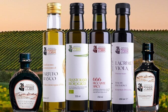 Florence: Tour San Gimignano, Monteriggioni & Chianti Hills - A jeep vineyard ride and the fun side of reaching the views