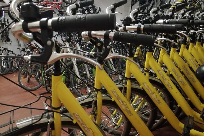 Florence treasures on a city bike - 1 day rental - - A One-Day Florence Ride That Feels Like a Real Plan