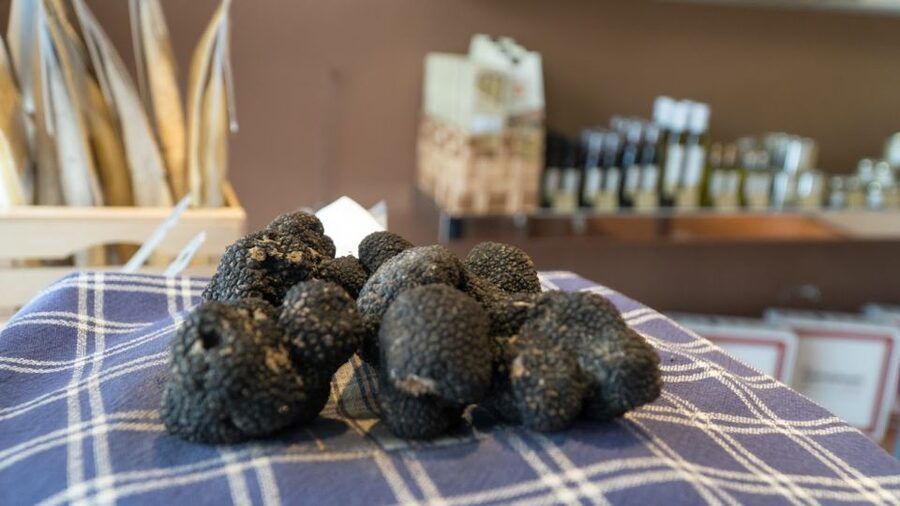 Florence: Truffle Hunting and Vinci with Lunch and Winery - Florence to San Miniato: the ride that sets the tone