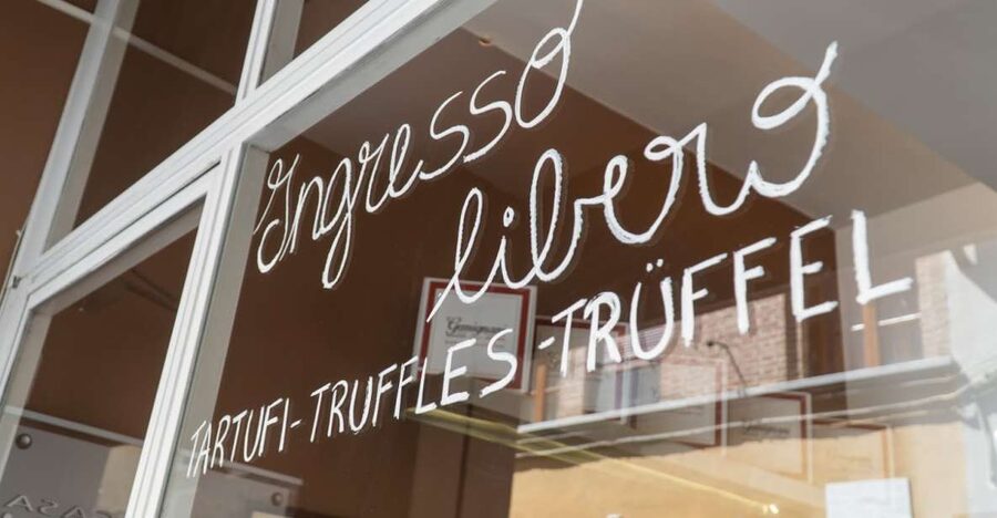 Florence: Truffle Hunting and Vinci with Lunch and Winery - Rain-or-shine reality: what to pack for woods, walking, and tastings