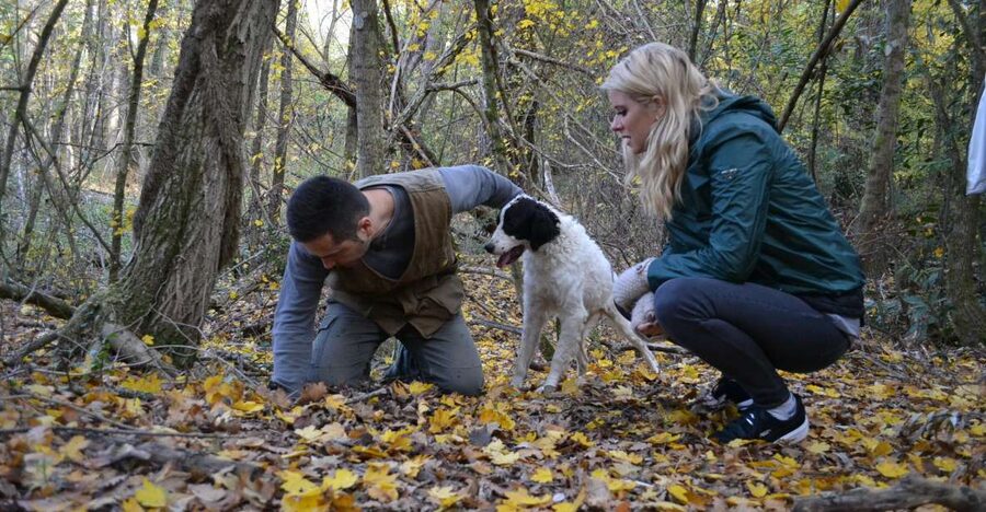 Florence: Truffle Hunting, Lunch, and Wine Tasting Tour - San Miniato stop: guided walk, town feel, and truffle context