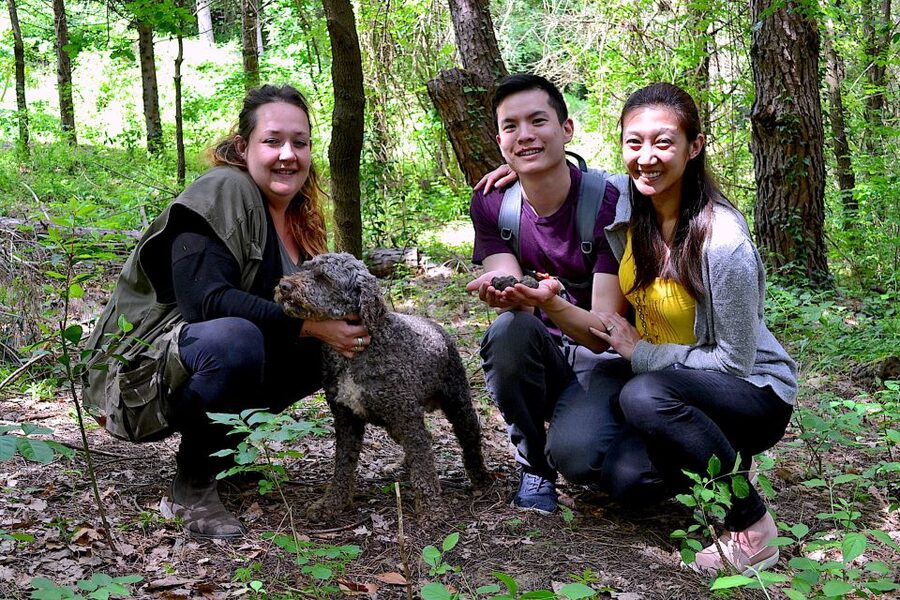 Florence: Truffle Hunting, Lunch, and Wine Tasting Tour - Lunch at a family-run winery: truffle appetizers and real table time