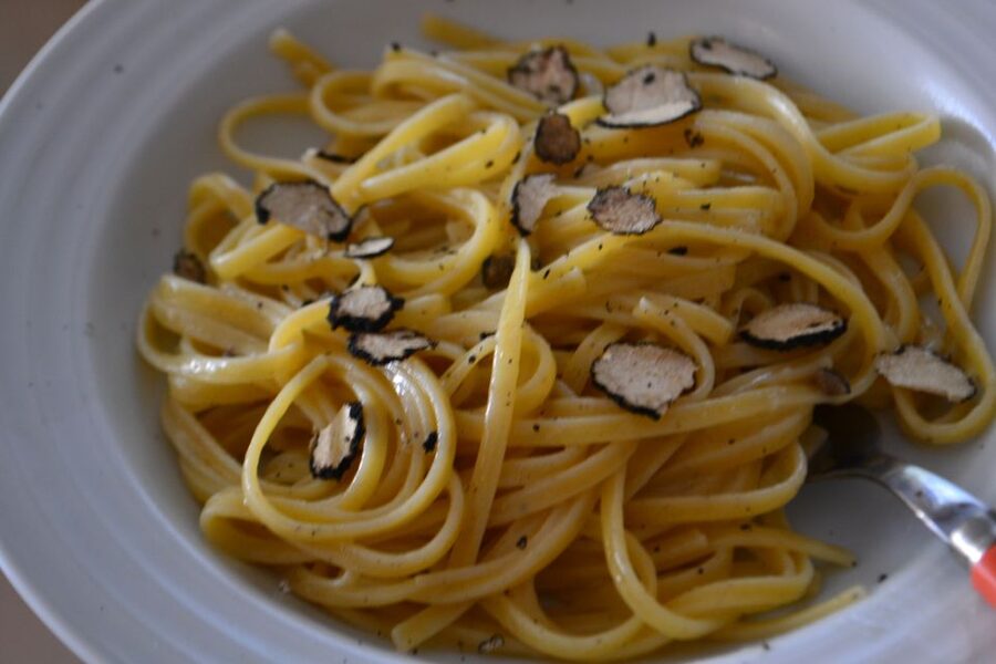 Florence: Truffle Hunting, Lunch, and Wine Tasting Tour - The truffle hunt in the woods with a trained dog