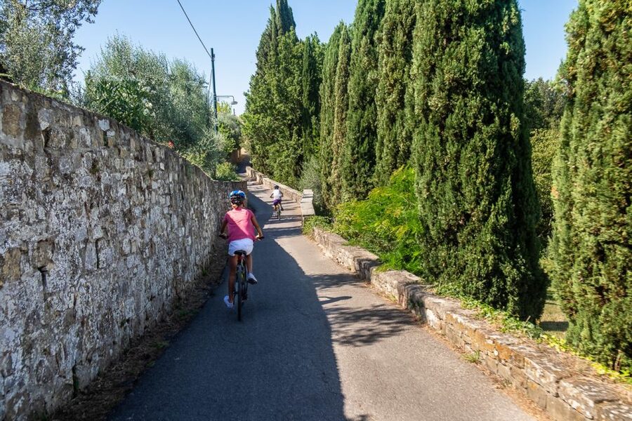 Florence: Tuscany Bike Tour with Wine & Olive Oil - Key things to know before you go