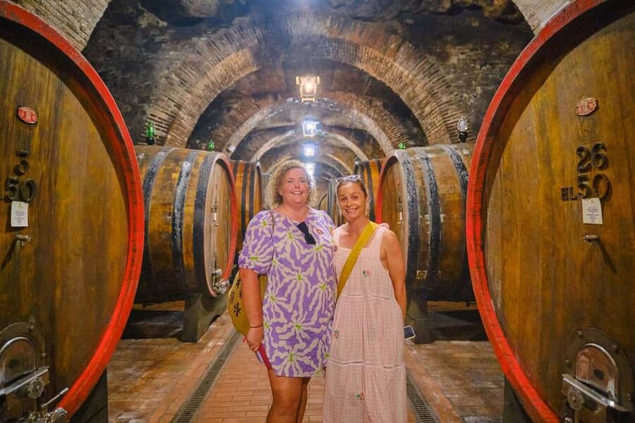 Florence: Val d'Orcia Private Chauffeur-Driven Tour - The Private Chauffeur Setup, and What Your Driver Can Actually Do