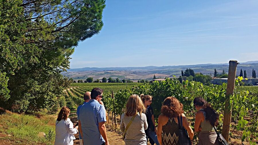 Florence: Valdorcia Wine, Brunello Montalcino, Montepulciano - Should You Book This Florence to Val d’Orcia Wine Trip?