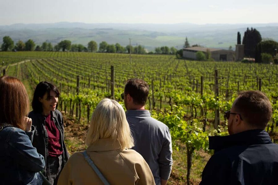 Florence: Valdorcia Wine, Brunello Montalcino, Montepulciano - Montalcino Winery Time: Brunello di Montalcino, but With Real Context
