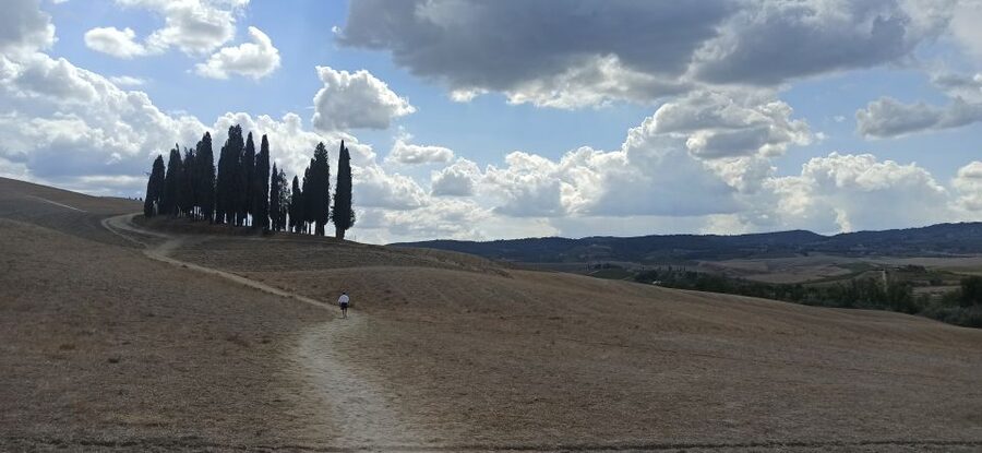 Florence: Valdorcia Wine, Brunello Montalcino, Montepulciano - Montepulciano’s Underground City: Wine, Olive Oil, and a Medieval Town With Photos Built In