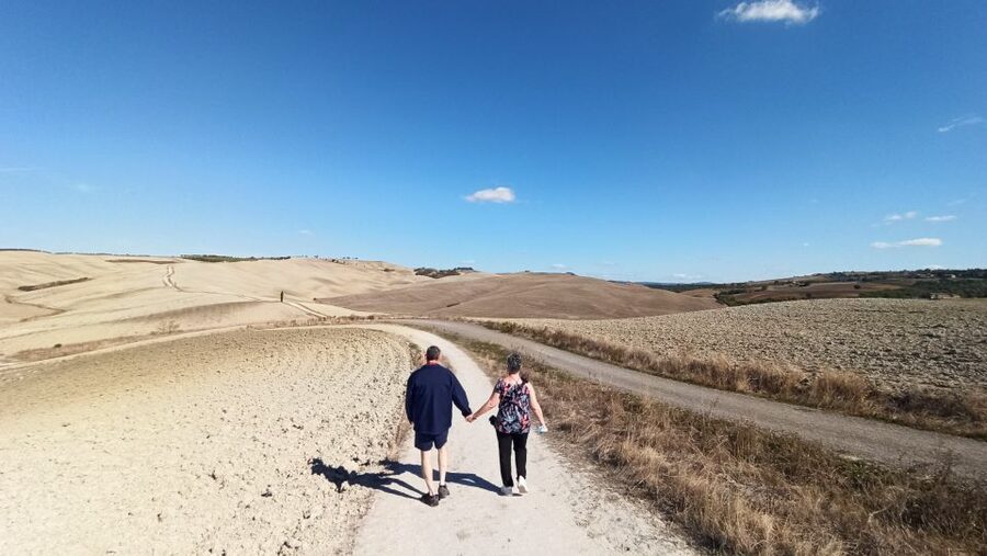 Florence: Valdorcia Wine, Brunello Montalcino, Montepulciano - Price and Value: What $265 Buys You in the Real World
