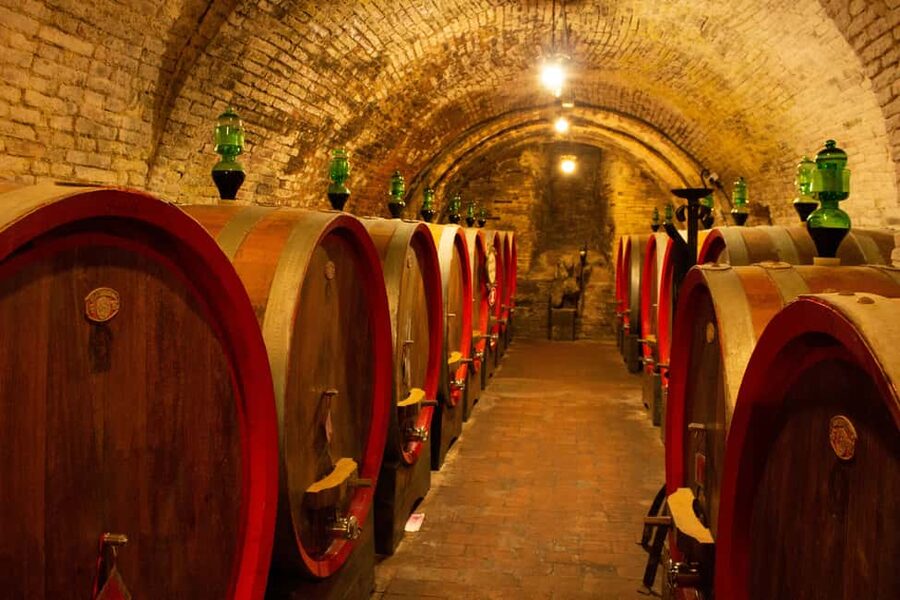 Florence: Valdorcia Wine, Brunello Montalcino, Montepulciano - Who This Tour Is Best For (and Who Should Rethink It)