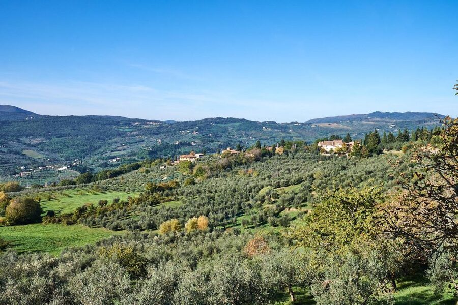 Florence: Vintage Fiat 500 Tour with Wine Tasting at Winery - What the 2-hour format gets right for first-timers