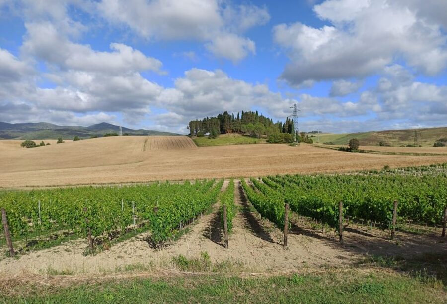 Florence: Volterra & San Gimignano Wine Tour with Lunch - Lunch at a family-run winery farm: what the tasting really adds