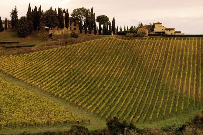 Florence: Walking Tour & Duomo Visit with Terrace & Dome Access - Should you book? My decision guide