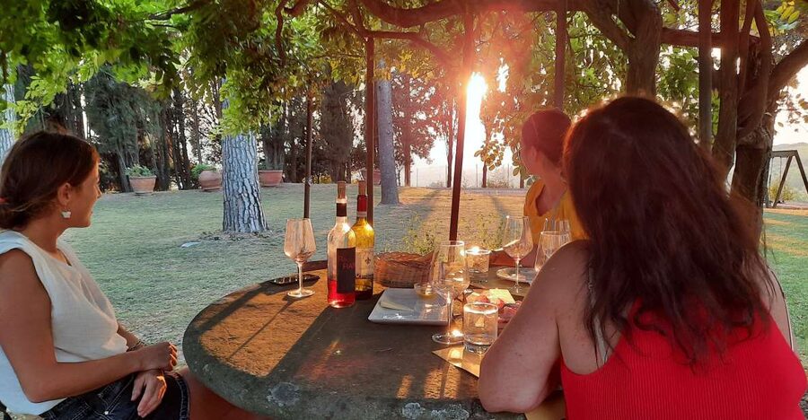Florence Wine Tour with Traditional Lunch, Private Winery - From Via Ghibellina to Vineyard Roads: The Shape of the Day