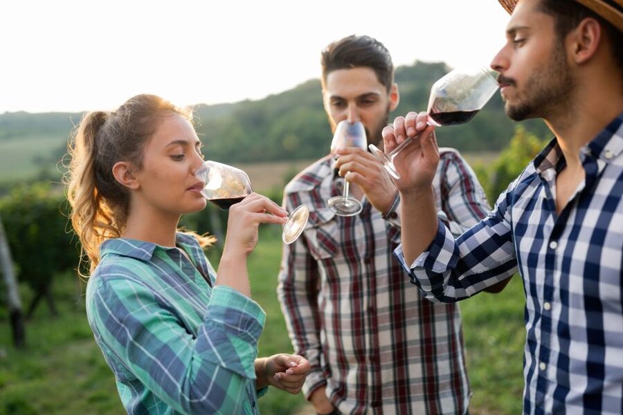 Florence: Wineries, Tastings, Lunch & San Gimignano Day Trip - Should you book this Florence to Chianti day trip?