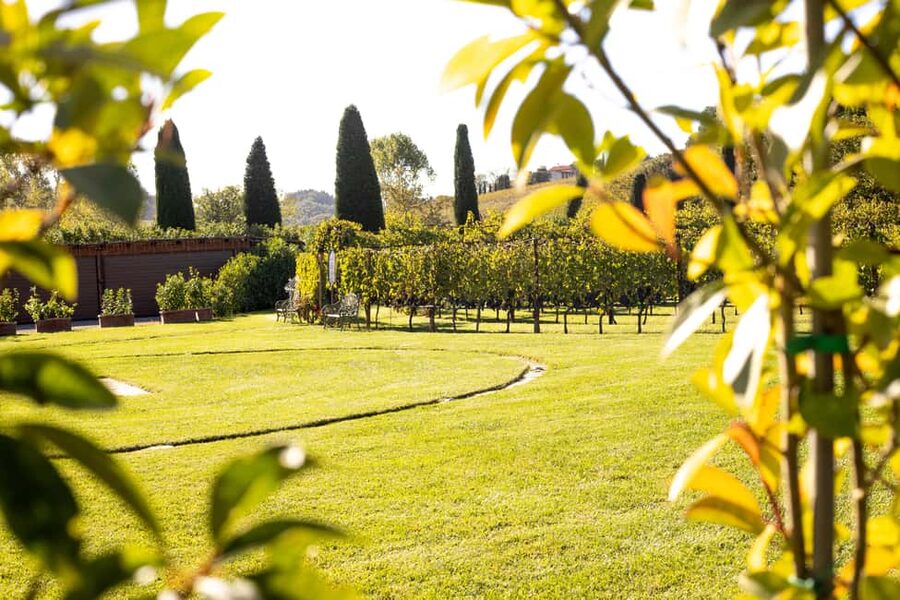 From Florence: Chianti Half-Day Afternoon Tour - Getting to Villa Costanza, the part that can make or break your start