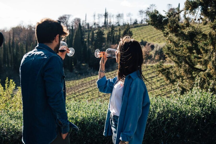 From Florence: Chianti Hills Half-Day Tour with Wine Tasting - The bus ride: comfortable, quick, and built for views