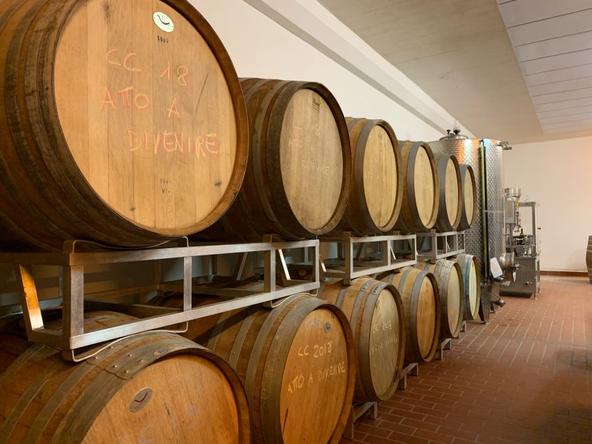 From Florence: Chianti Hills Half-Day Tour with Wine Tasting - Vineyard-row walk: how cultivation becomes real
