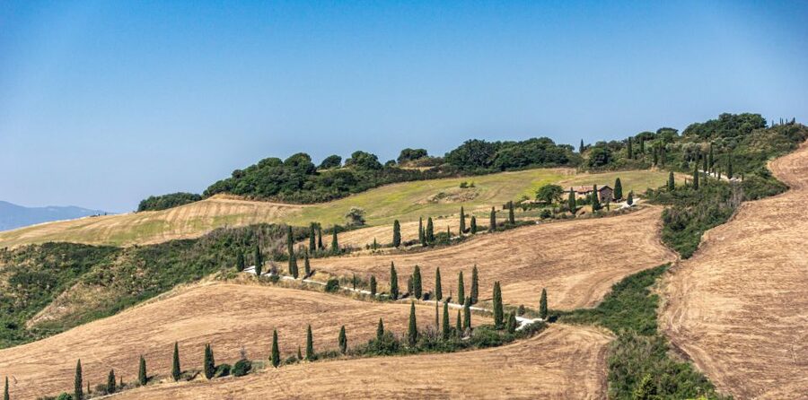 From Florence: Chianti, Montalcino & Montepulciano - Minivan - Group Size, Comfort, and Who This Tour Fits Best