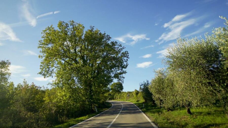 From Florence: Chianti, Montalcino & Montepulciano - Minivan - Why This Florence Wine Day Makes Sense