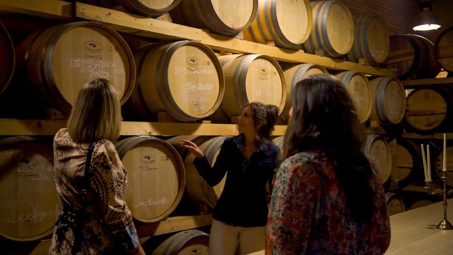 From Florence: Chianti, Montalcino & Montepulciano - Minivan - Chianti Hills Stop: Wine Tasting with Snacks, Not Just Sipping
