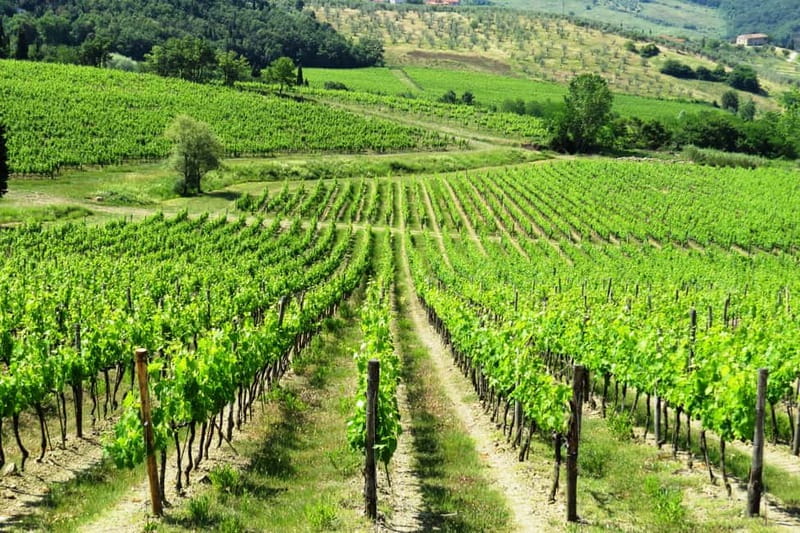 From Florence: Chianti Self-Guided Vespa Tour with Lunch - Electric Vespa Chianti: why it feels like a real day out