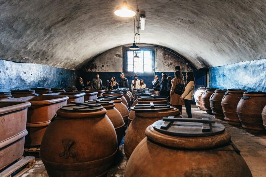 From Florence: Chianti Wine and Food Tasting Safari - Key moments that make this tour worth your time