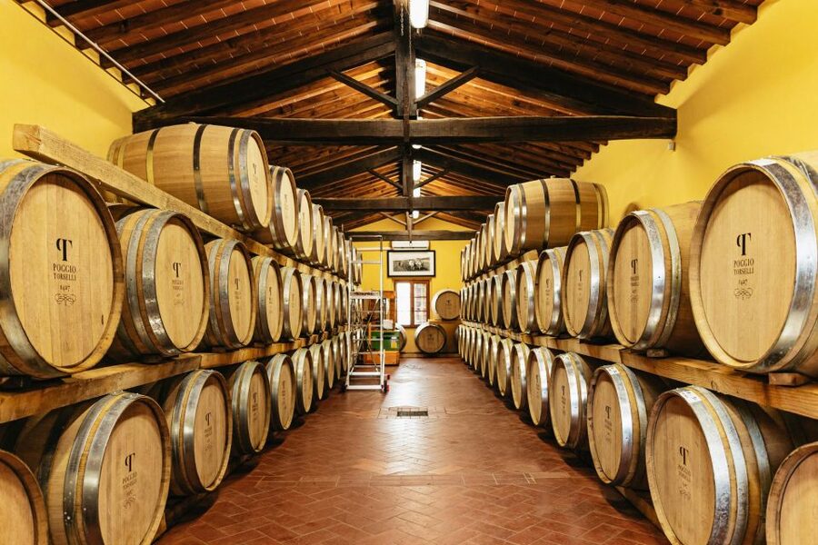 From Florence: Chianti Wine and Food Tasting Safari - The tasting flow: 8 wines plus cheese, cured meats, and olive oil