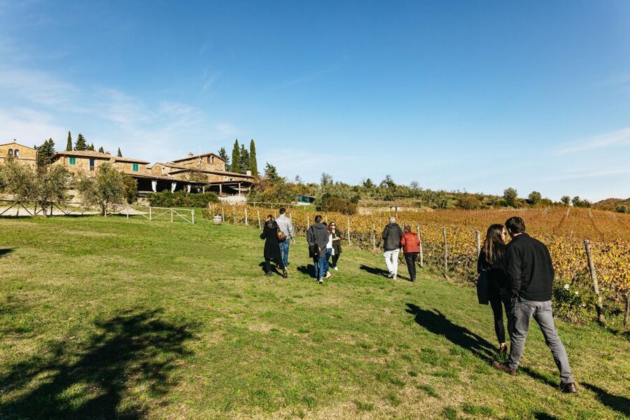 From Florence: Chianti Wine and Food Tasting Safari - Who should book, and who should skip it