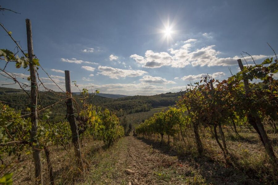 From Florence: Chianti Wine Tastings at Sunset Day Trip - Key points worth knowing before you go