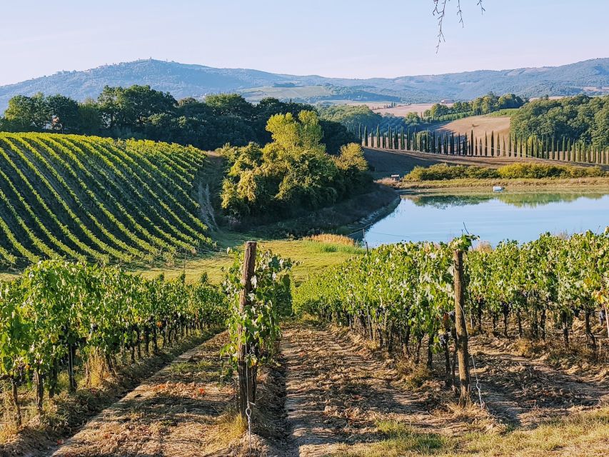 From Florence: Chianti Wine Tastings at Sunset Day Trip - From Florence to Chianti at sunset, the smart way to do it