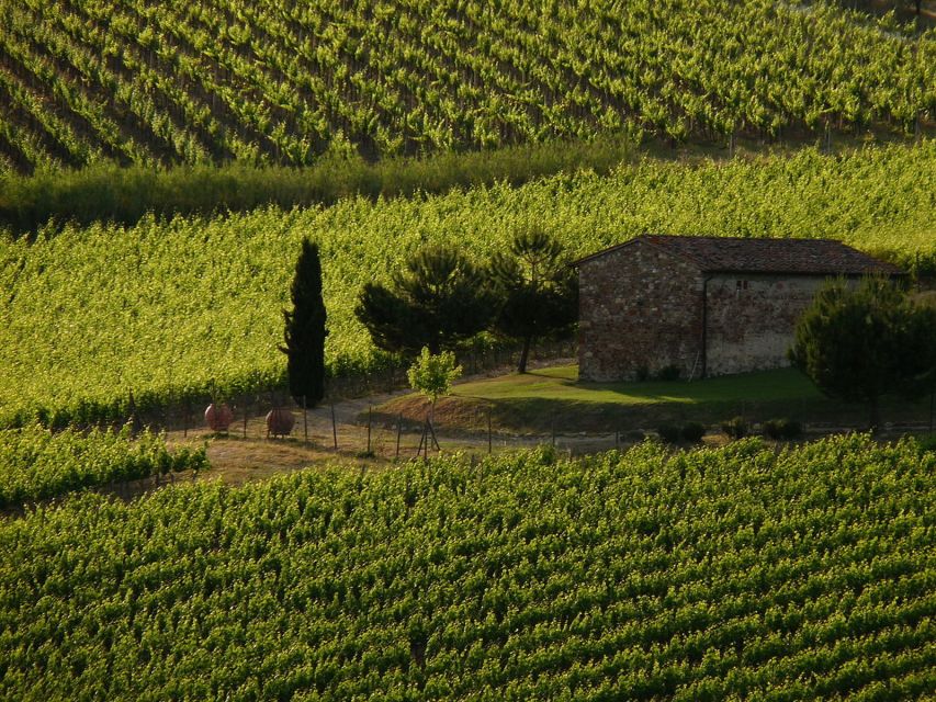 From Florence: Chianti Wine Tastings at Sunset Day Trip - The photo stops that actually connect the dots (Greve, Montefioralle, Passignano Abbey)
