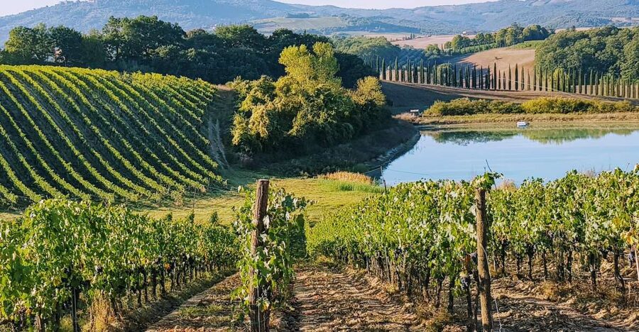 From Florence: Chianti Wine Tastings at Sunset Day Trip - The minivan ride: comfortable, but plan for the roads