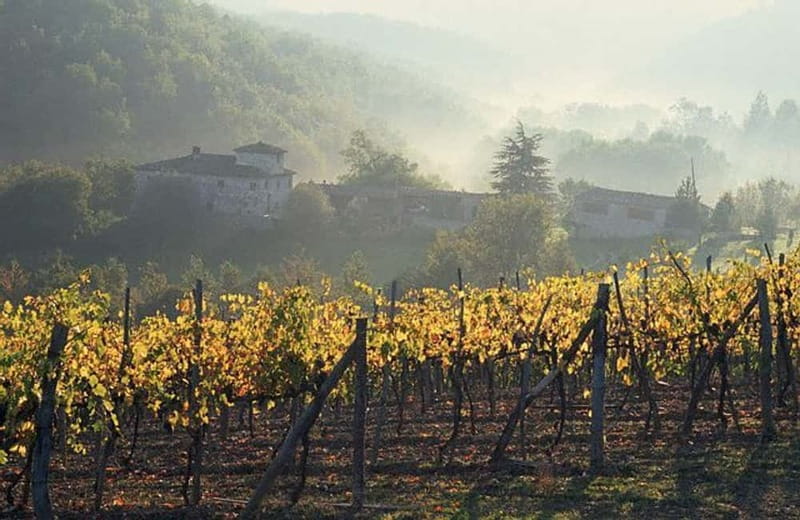 From Florence: Chianti Wine Tour with Driver-Guide - Key things that make this Chianti tour work