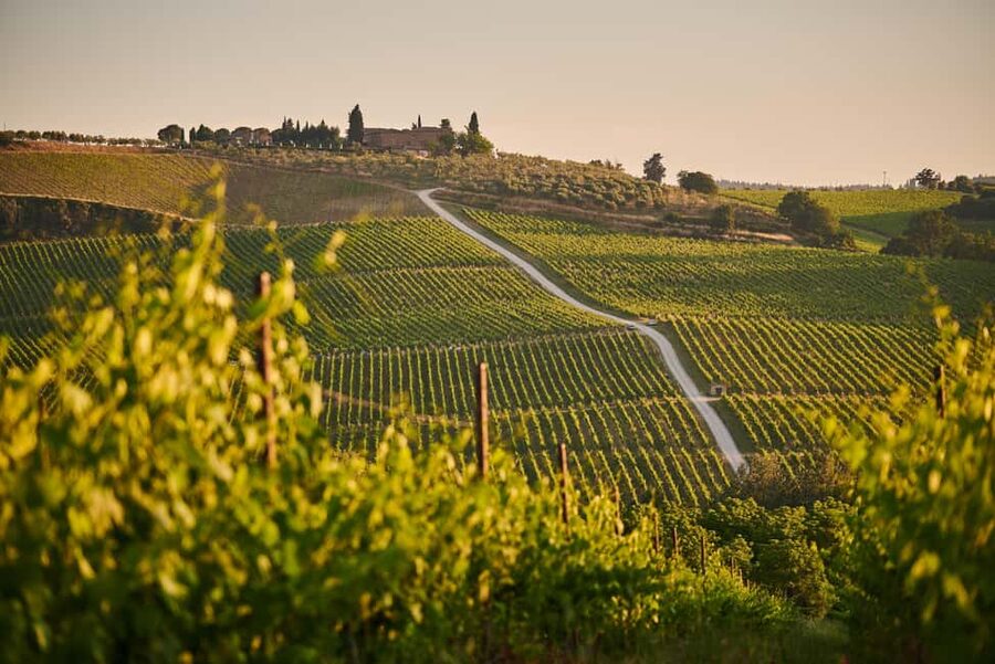 From Florence: Chianti Wine Tour with Driver-Guide - Greve and Panzano: where the region shows up in everyday wine culture