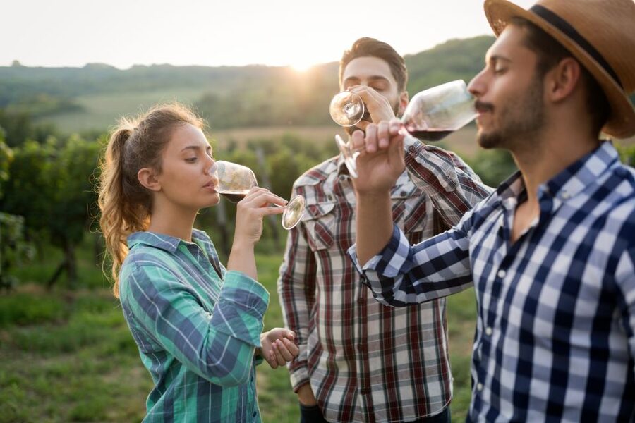 From Florence: Chianti Wine Tour with Tasting - Who Should Book This Chianti Tour