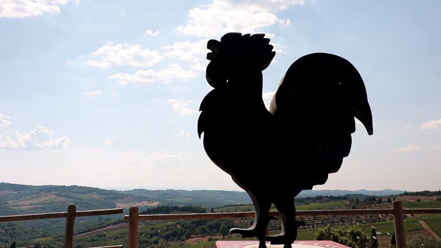 From Florence: Chianti Wine Tour with Tastings - Stop 1 in Florentine Chianti Classico: a cozy organic producer