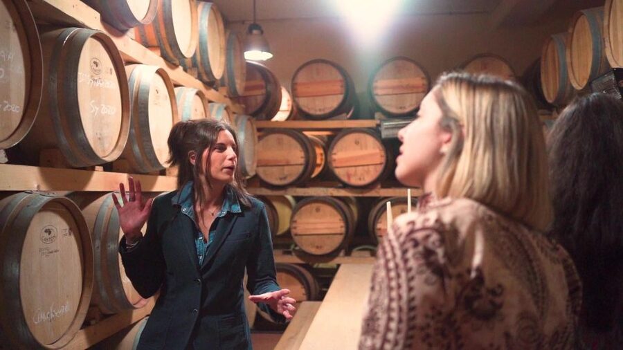 From Florence: Chianti Wine Tour with Tastings - Local snacks and pecorino: what you eat with the wine