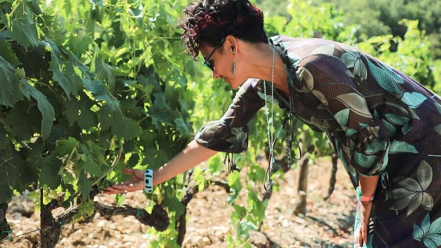 From Florence: Chianti Wine Tour with Tastings - Where you meet: Stazione Montelungo or Piazzale Montelungo