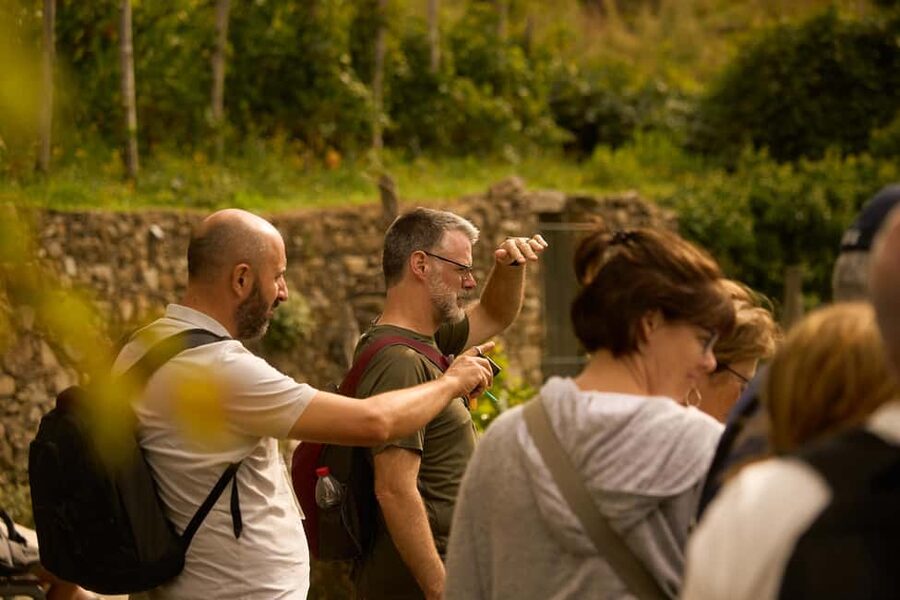 From Florence: Cinque Terre Day Trip with Local Guide - Vernazza: lunch time plus harbor views and a good photo-to-walk balance