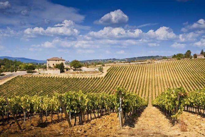 From Florence: Classic Chianti Villages and Wine Roads by Minivan - The farm area near San Gimignano: lunch and local tastings