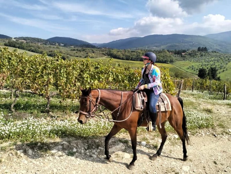 From Florence: Horse Ride and Wine Tour at Estate with Lunch - Getting out of Florence: the Southern Chianti drive that sets the tone