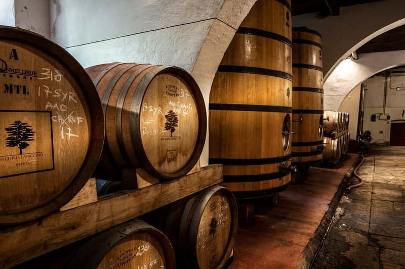 From Florence: Horse Ride and Wine Tour at Estate with Lunch - Saddle time: a guided horseback ride for all skill levels