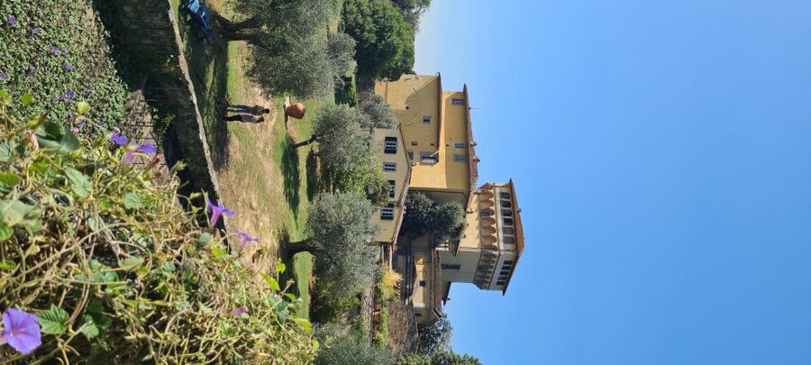 From Florence: Horseback Ride and Olive Oil and food tasting - Price and Value: Is $377 Per Person a Smart Use of Your Time?